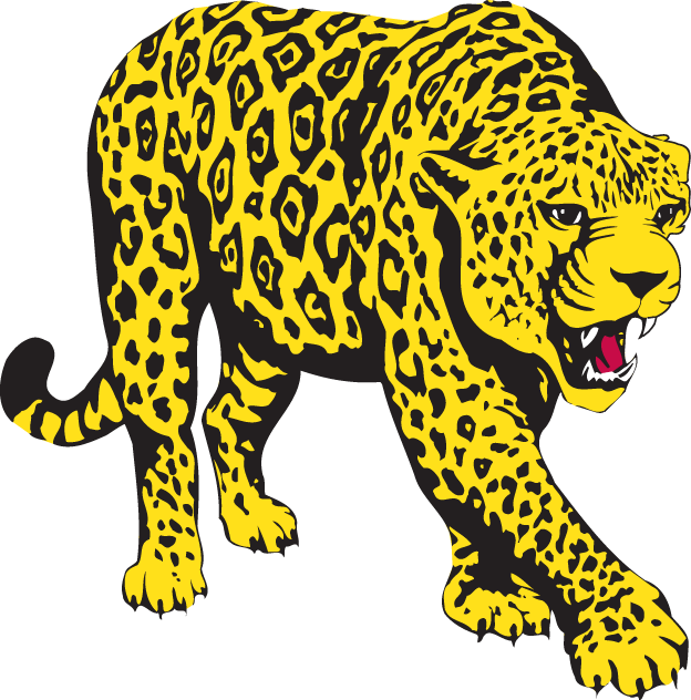 South Alabama Jaguars 1993-2007 Partial Logo v3 diy iron on heat transfer